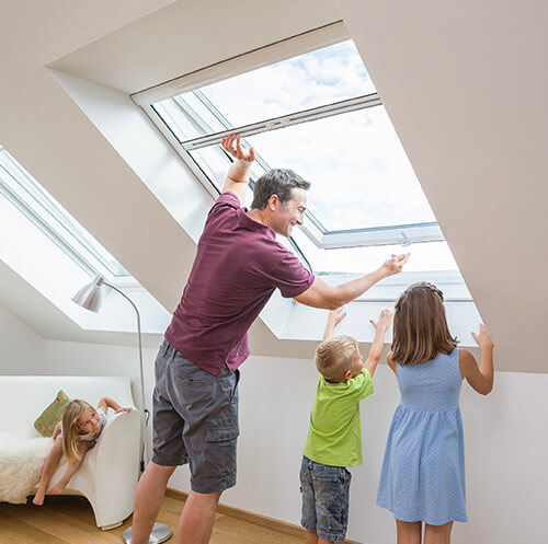 Insekten- und Pollenschutz